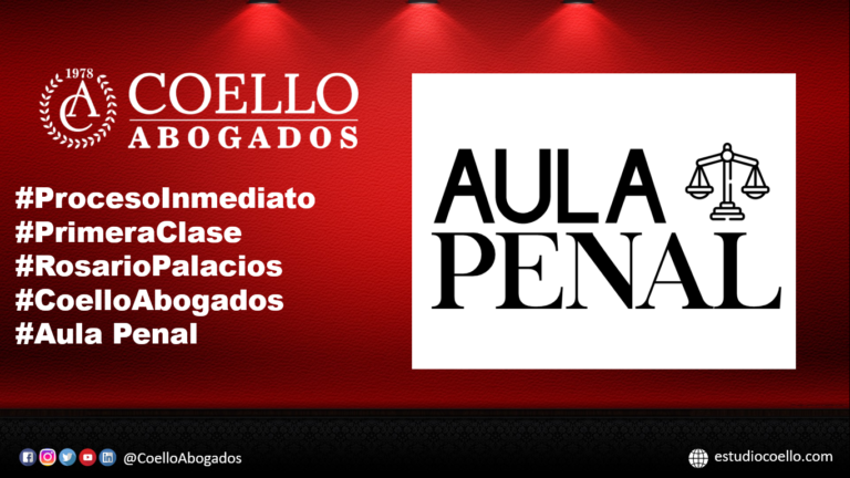 VIDEO PROCESO INMEDIATO – PARTE 1